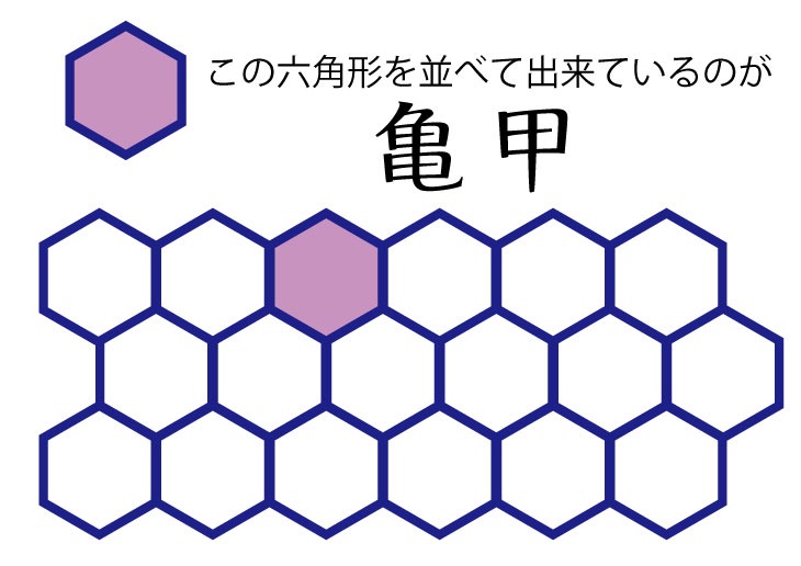 亀甲は六角形で出来ている
