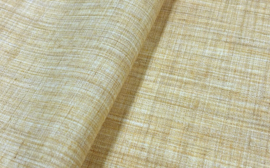 麻風生平