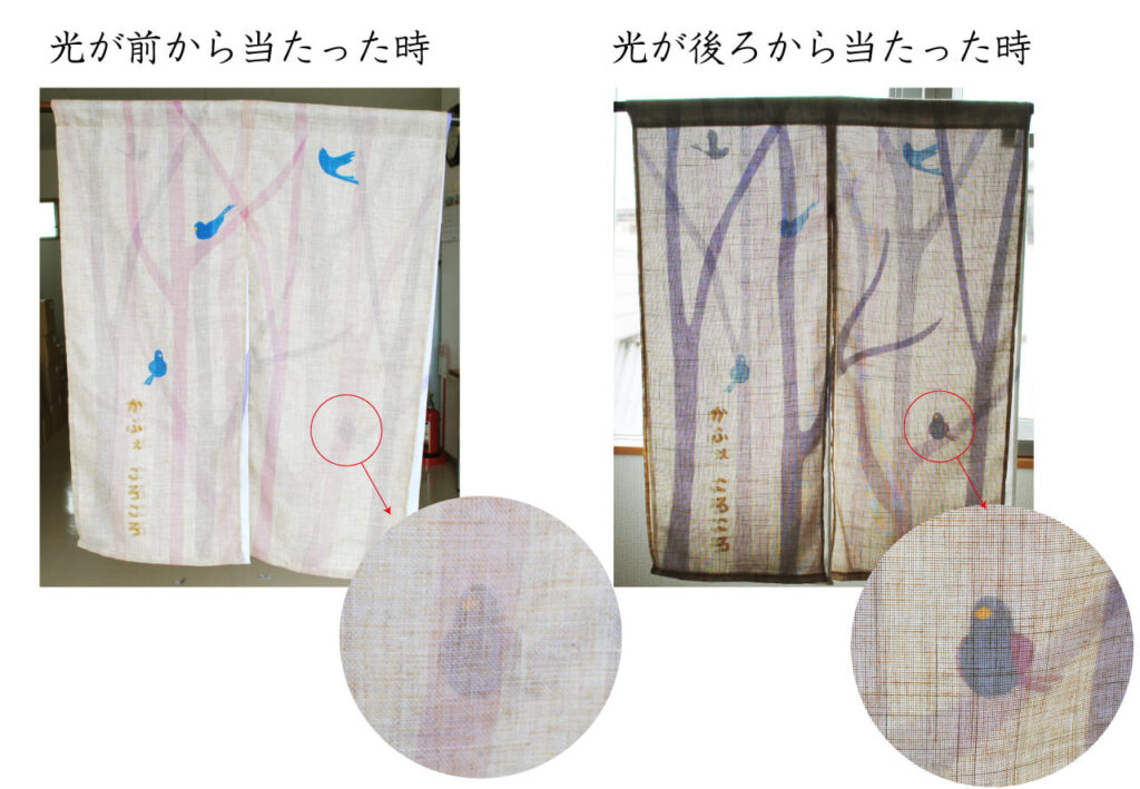 光が前、後ろから当たった時の見え方